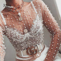 Ivory Pearl Mesh Lace Long Sleeve Top